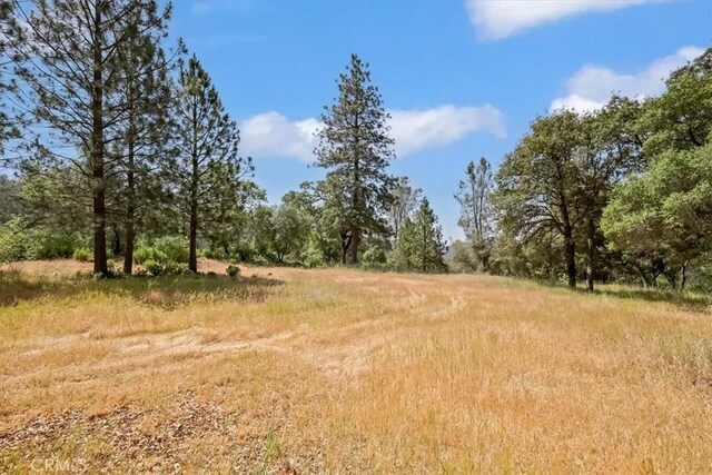 14818 Willow Glen Rd, Brownsville, CA 95919 - photo 42