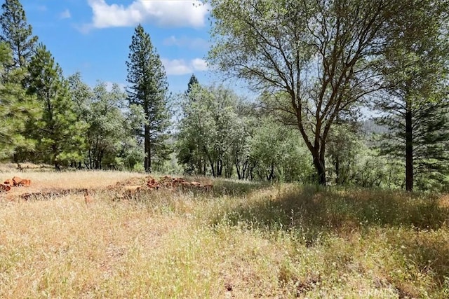 14818 Willow Glen Rd, Brownsville, CA 95919 - photo 28