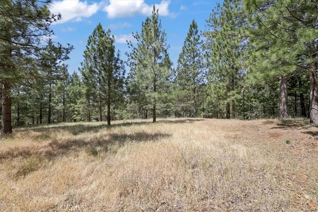 14818 Willow Glen Rd, Brownsville, CA 95919 - photo 25