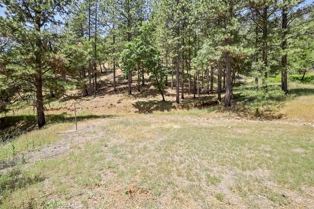 14818 Willow Glen Rd, Brownsville, CA 95919 - photo 16