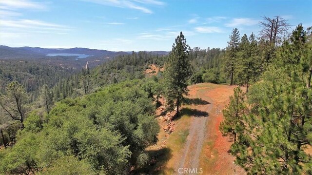 14818 Willow Glen Rd, Brownsville, CA 95919 - photo 17
