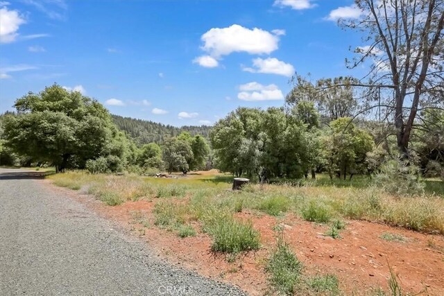 14818 Willow Glen Rd, Brownsville, CA 95919 - photo 30