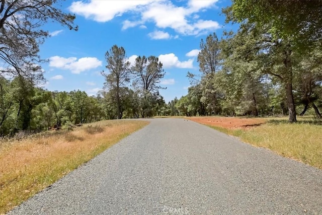 14818 Willow Glen Rd, Brownsville, CA 95919 - photo 5