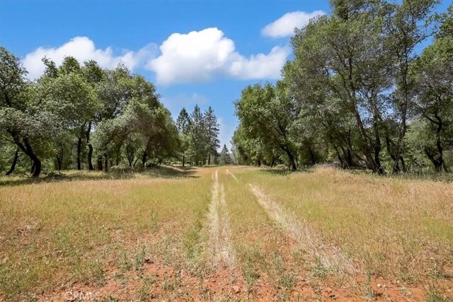 14818 Willow Glen Rd, Brownsville, CA 95919 - photo 45