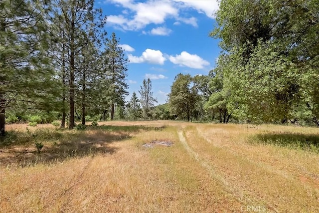 14818 Willow Glen Rd, Brownsville, CA 95919 - photo 10