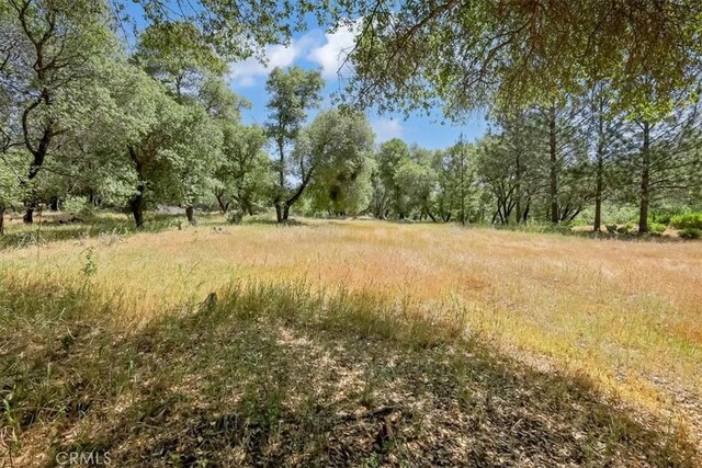 14818 Willow Glen Rd, Brownsville, CA 95919 - photo 41