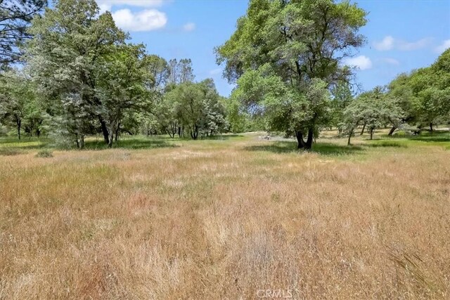 14818 Willow Glen Rd, Brownsville, CA 95919 - photo 38