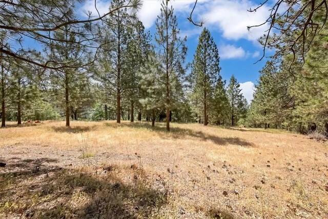 14818 Willow Glen Rd, Brownsville, CA 95919 - photo 24