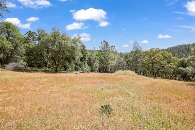 14818 Willow Glen Rd, Brownsville, CA 95919 - photo 36
