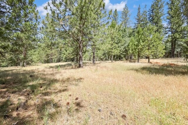 14818 Willow Glen Rd, Brownsville, CA 95919 - photo 29