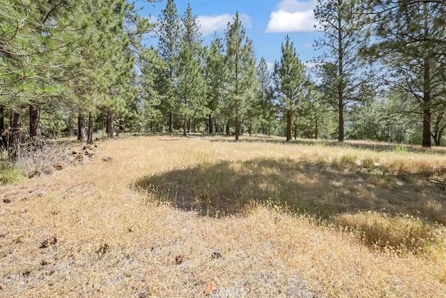 14818 Willow Glen Rd, Brownsville, CA 95919 - photo 23