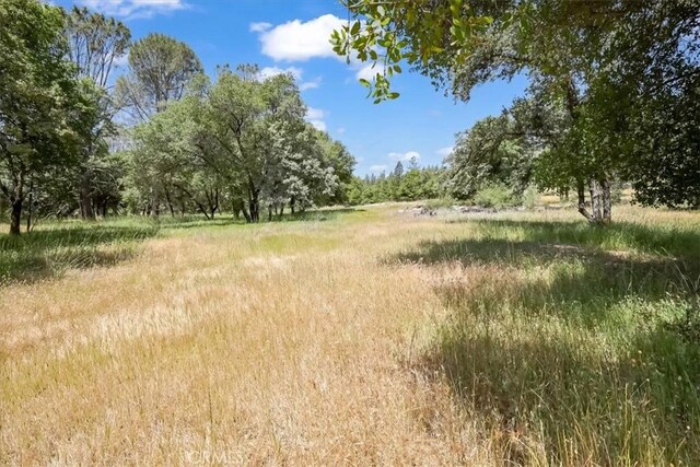14818 Willow Glen Rd, Brownsville, CA 95919 - photo 39