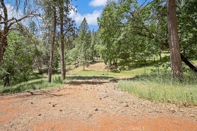 14818 Willow Glen Rd, Brownsville, CA 95919 - photo 14