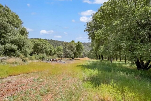 14818 Willow Glen Rd, Brownsville, CA 95919 - photo 8