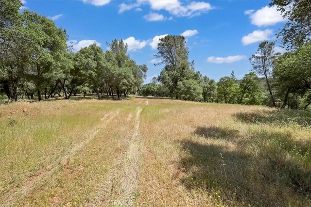 14818 Willow Glen Rd, Brownsville, CA 95919 - photo 44