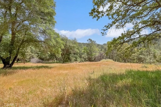 14818 Willow Glen Rd, Brownsville, CA 95919 - photo 35