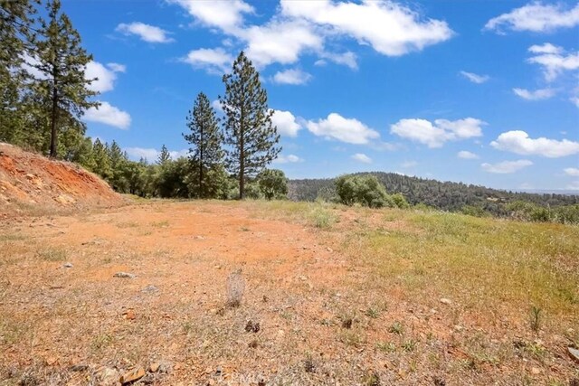 14818 Willow Glen Rd, Brownsville, CA 95919 - photo 47