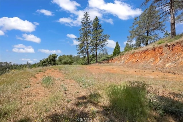 14818 Willow Glen Rd, Brownsville, CA 95919 - photo 49