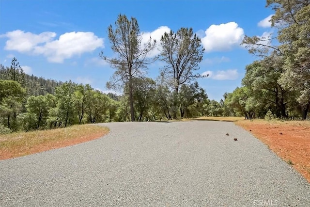 14818 Willow Glen Rd, Brownsville, CA 95919 - photo 12
