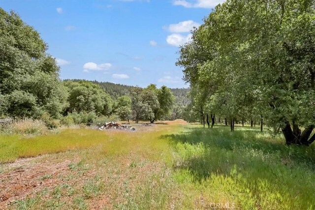 14818 Willow Glen Rd, Brownsville, CA 95919 - photo 32
