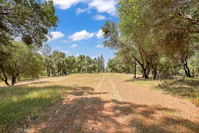 14818 Willow Glen Rd, Brownsville, CA 95919 - photo 11