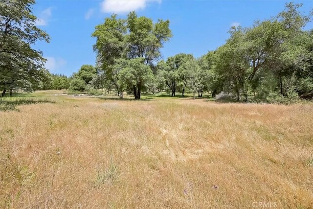 14818 Willow Glen Rd, Brownsville, CA 95919 - photo 37