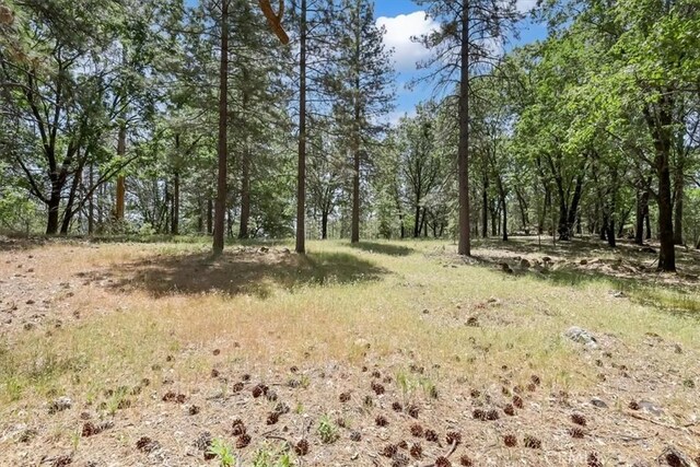 14818 Willow Glen Rd, Brownsville, CA 95919 - photo 51