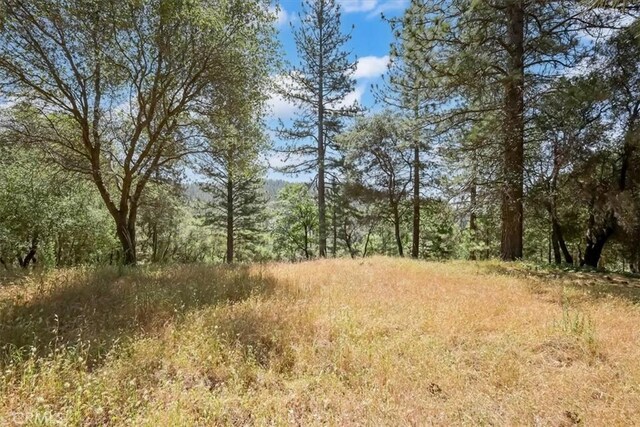 14818 Willow Glen Rd, Brownsville, CA 95919 - photo 27
