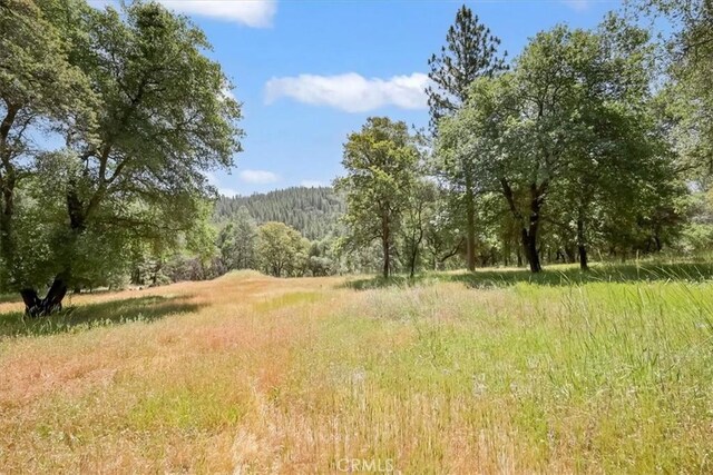 14818 Willow Glen Rd, Brownsville, CA 95919 - photo 33