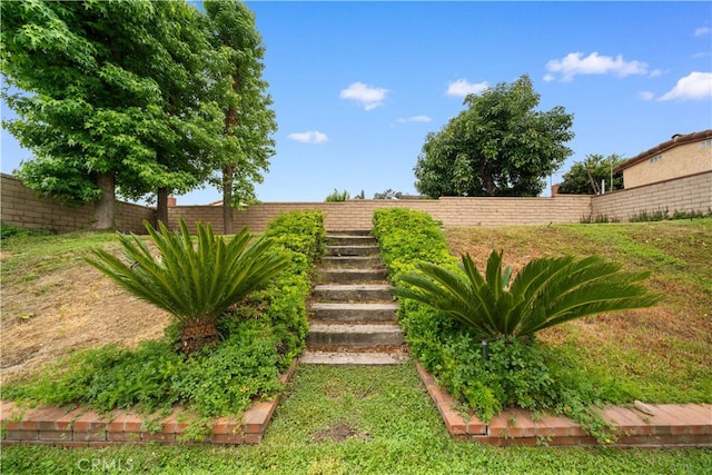 15202 El Selinda Dr, Hacienda Heights, CA 91745 - view of yard