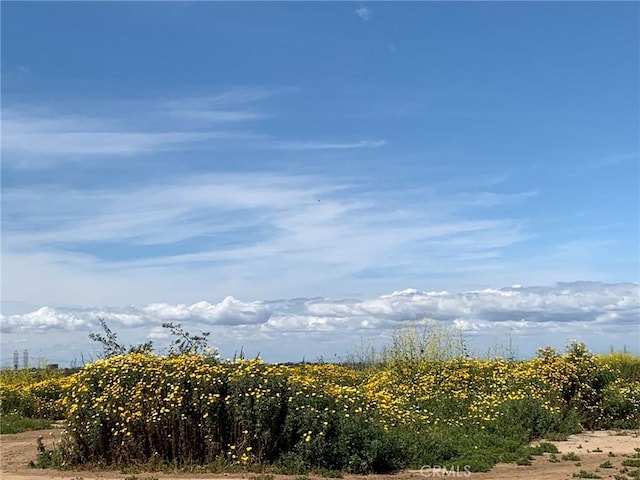 2191 Canyon Unit C103, Costa Mesa, CA 92627 - view of nature