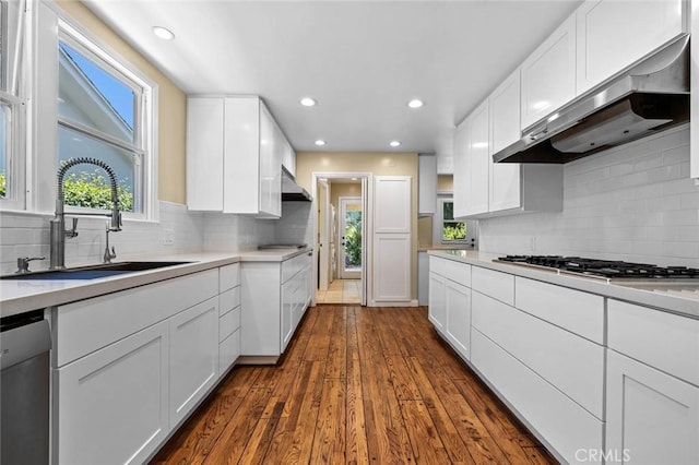 15454 Sutton St, Sherman Oaks, CA 91403 - kitchen featuring extractor fan, a sink, stainless steel appliances, plenty of natural light, and recessed lighting