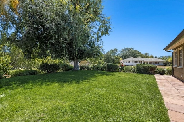 15454 Sutton St, Sherman Oaks, CA 91403 - view of green lawn