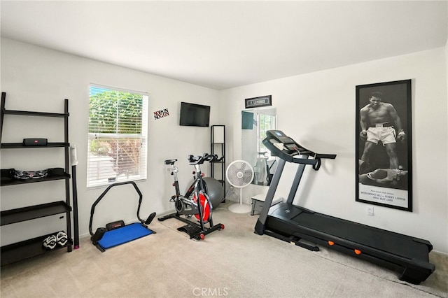 6875 Adainville Dr, Palmdale, CA 93552 - workout room with carpet floors