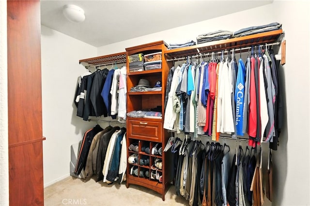 6875 Adainville Dr, Palmdale, CA 93552 - spacious closet with light carpet