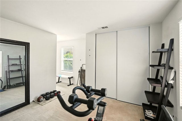 6875 Adainville Dr, Palmdale, CA 93552 - exercise room featuring light carpet