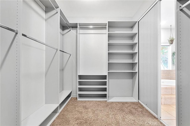 22428 Valley View Rd, Apple Valley, CA 92308 - spacious closet featuring carpet floors