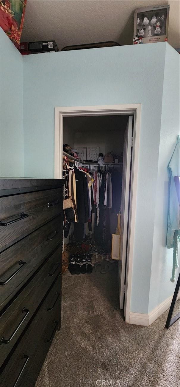 15009 Hopland St, Victorville, CA 92394 - spacious closet with carpet flooring