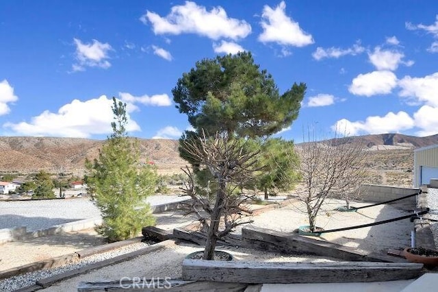 28560 Cruthers Creek Rd, Pearblossom, CA 93553 - view of mountain background