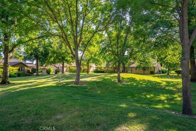 22022 Grove Cir, Red Bluff, CA 96080 - view of green lawn featuring a residential view