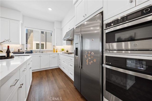 150 Abacus, Irvine, CA 92618 - kitchen featuring stainless steel appliances, under cabinet range hood, tasteful backsplash, white cabinets, and recessed lighting
