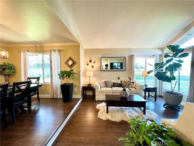 18839 Watson Ave, Cerritos, CA 90703 - living room featuring dark wood finished floors, crown molding, and baseboards