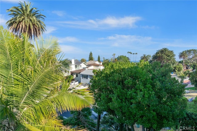 337 N Hanford Ave, San Pedro, CA 90732 - photo 48