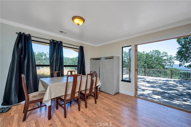 19511 Oak Haven Rd, Lower Lake, CA 95457 - photo 12