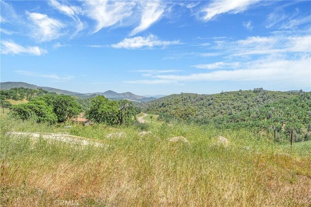 19511 Oak Haven Rd, Lower Lake, CA 95457 - photo 44