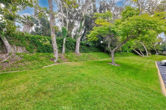 543 Rockport Ct, Encinitas, CA 92024 - view of green lawn