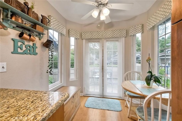 543 Rockport Ct, Encinitas, CA 92024 - entryway with light wood-style floors and ceiling fan