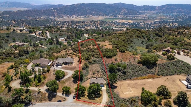24481 Jacaranda Dr, Tehachapi, CA 93561 - photo 5