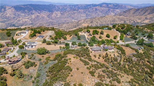 24481 Jacaranda Dr, Tehachapi, CA 93561 - photo 34