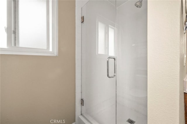 35122 Red Rover Mine Rd, Acton, CA 93510 - full bathroom featuring healthy amount of natural light and a shower stall